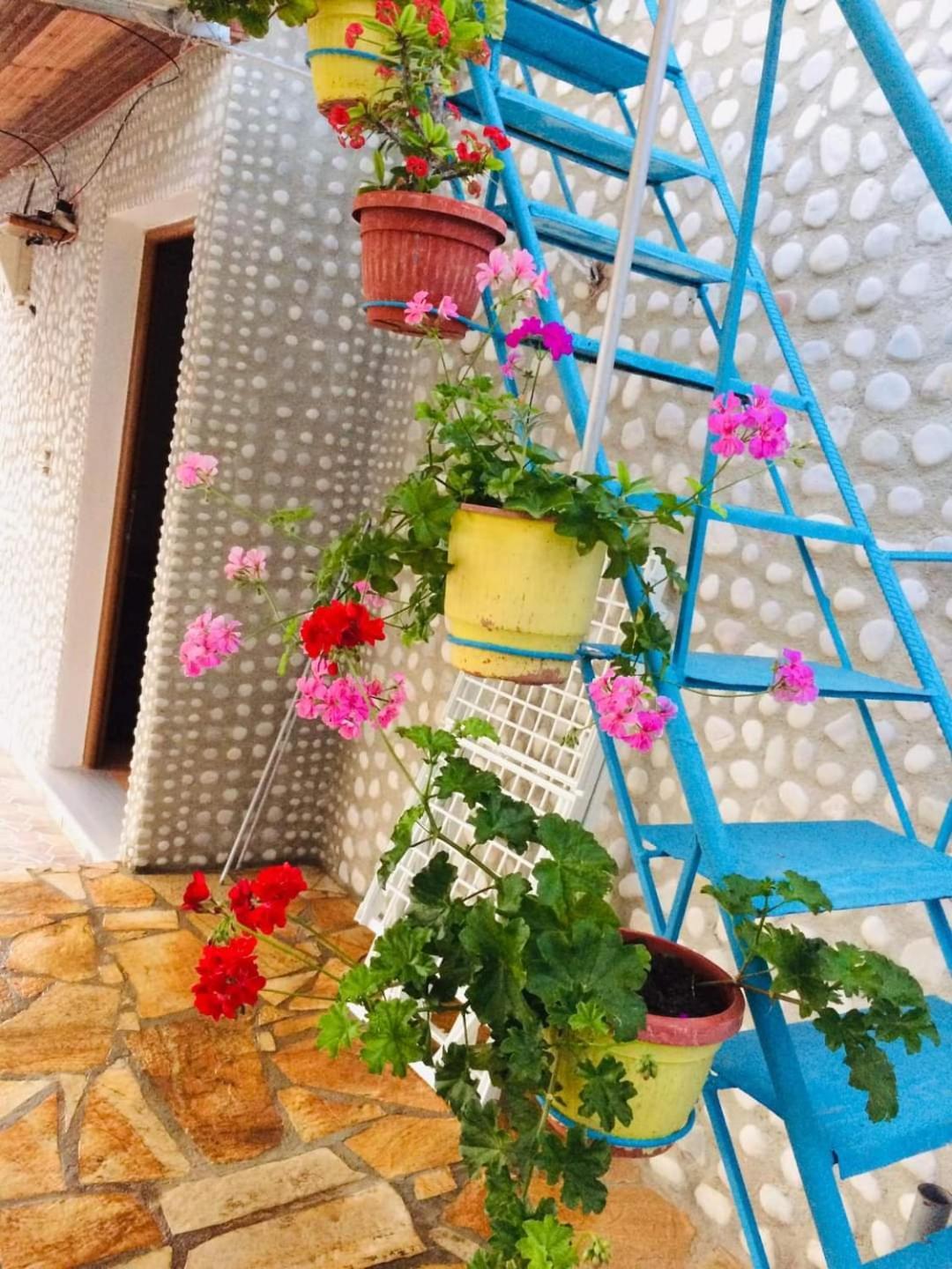 Relaxation Place Hotel Himare Exterior foto